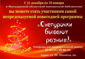 программа снегурочки